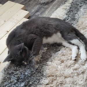 Meet your Posher, Reeves